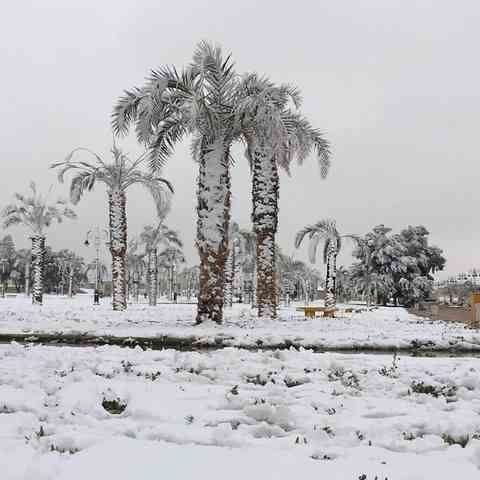 Snow falls in Saudi Arabia