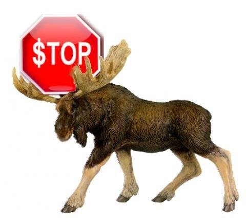 Stop Moose