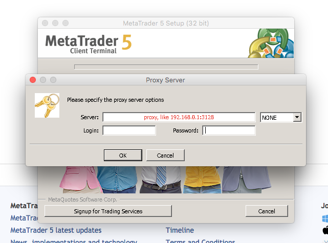 Launching of MetaTrader 5 trading platform - RoboMarkets