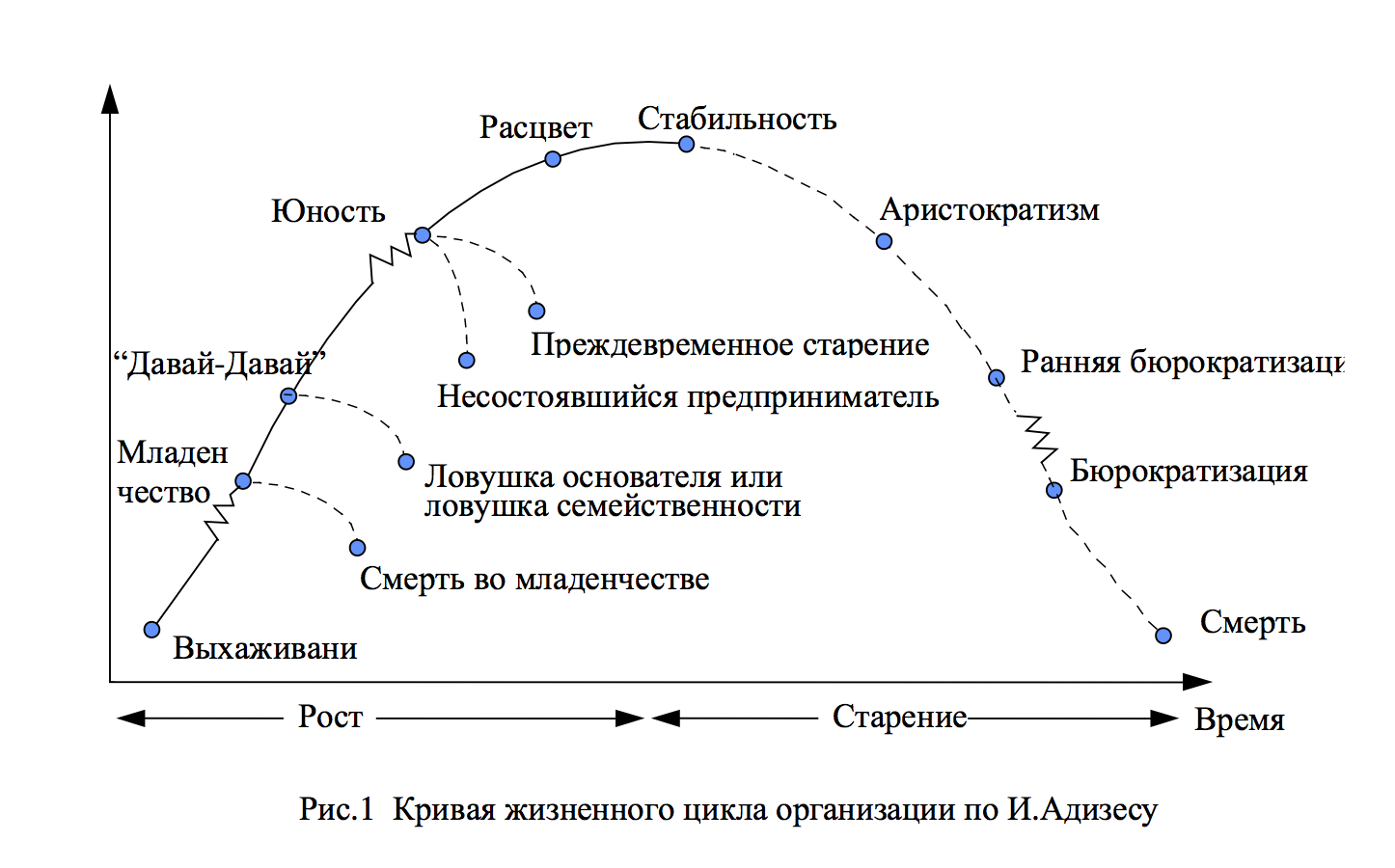 Стабильного регулярного. Адизес модель жизненного цикла организации. Жизненный цикл Грейнера и Адизеса. Теория жизненных циклов организации и.Адизеса. Фазы жизненного цикла компании.