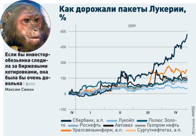 el mono el mejor inversor