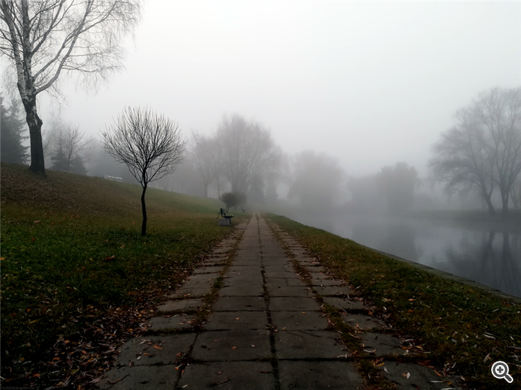 Autumn. Fog.