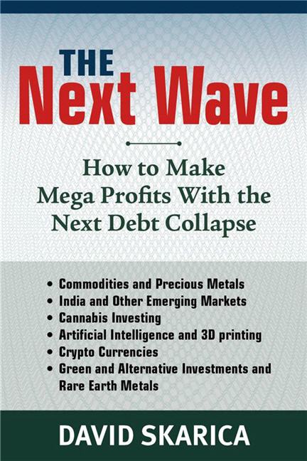 The Next Wave: How to Make Mega Profits with the Next Debt Collapse 