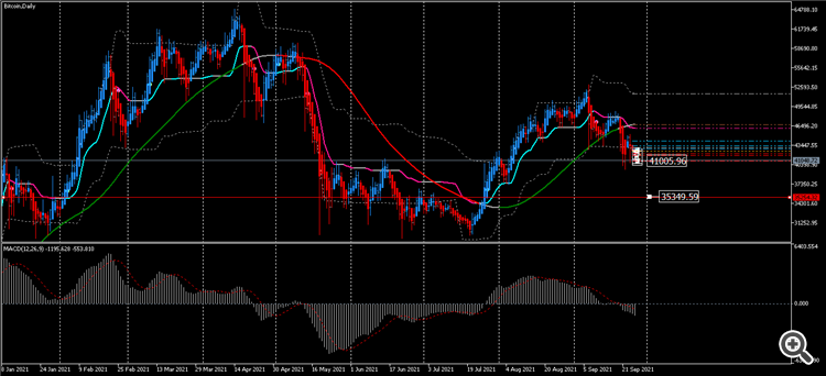 BitcoinDaily 35349.59