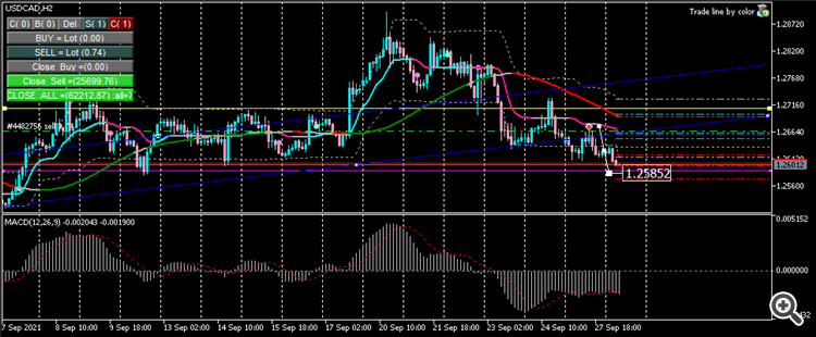 USDCADH2 000