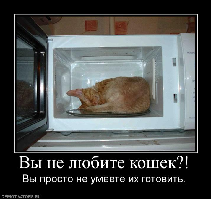 Вы не любите кошек вы. Вы просто не умеете их готовить. Вы не любите кошек- не умеете их готовить. Вы не любите кошек вы просто не умеете готовить.