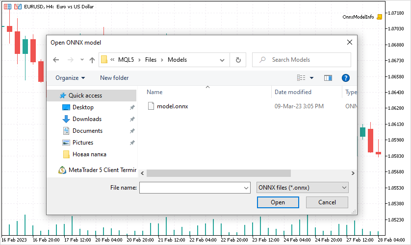 Information about the ONNX model's inputs and outputs