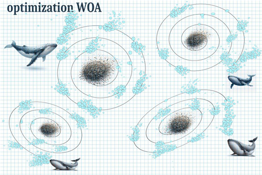 Алгоритмы оптимизации популяций: Алгоритм оптимизации китов (WOA)