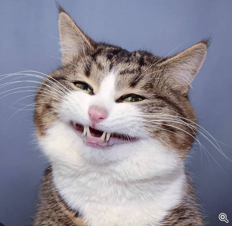 :)