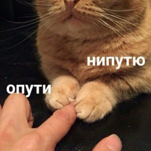 О нееееть!
