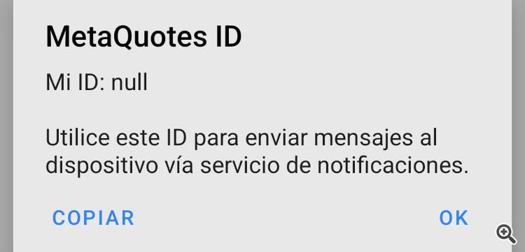 METAQUOTES ID NULL