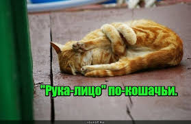 Фэйспалм
