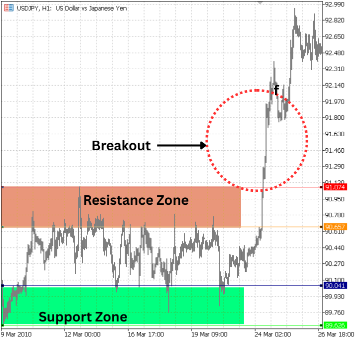From Novice to Expert: Navigating Market Irregularities