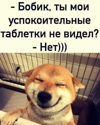 4002