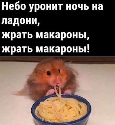 4003