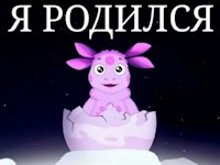 л