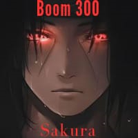 Boom 300 Sakura EA