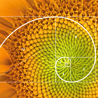 Fibonacci Retracement EA MT5 Limited