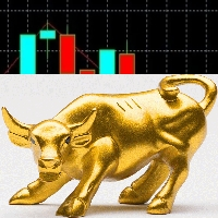 Market Trader GOLD
