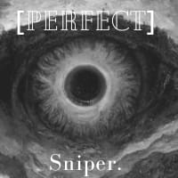 Perfect Sniper
