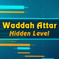 Waddah Attar Hidden Level