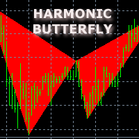 Harmonic Butterfly