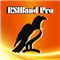 RSIBand Pro EA MT5