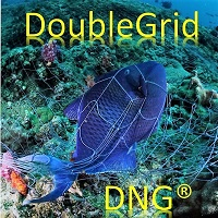 Double Grid