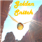 Golden Snitch MT4