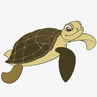 TurtleLongTermMT5