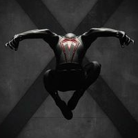 Spider Man X