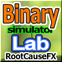 Binary Lab Simulator