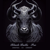 Black Bulls Pro