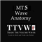 Wave Anatomy MT5