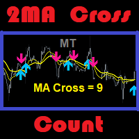 MT 2ma Cross Count
