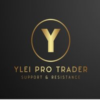 Ylei SR Pro Trader