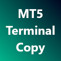 MT5 Terminal Copy