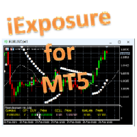 Niguru Exposure an iExposure for MT5