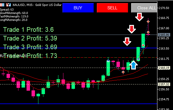 This morning 3 TP catched