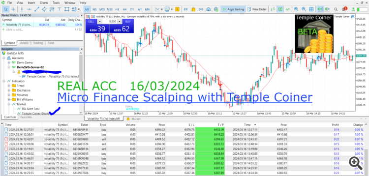 Volatility 75(1s) index