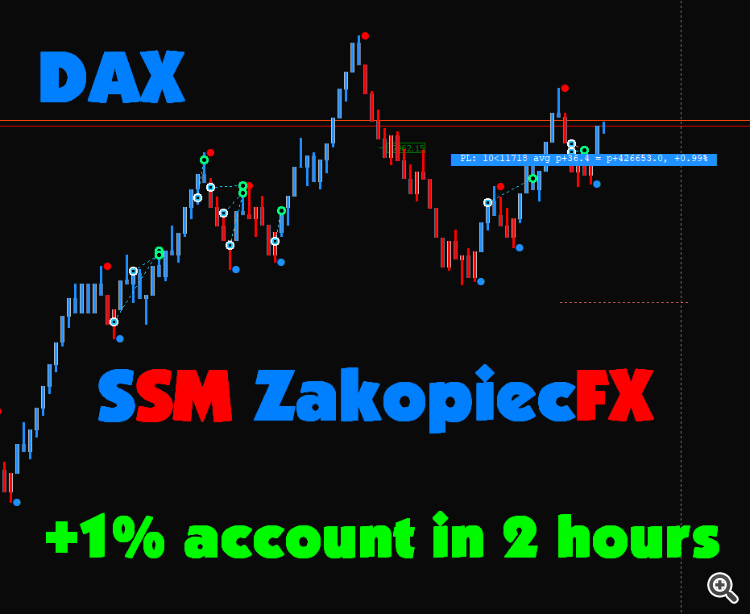 FTMO account. Every day Profit