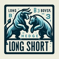Long Short B3 Bovespa