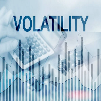 Volatility Vanguard