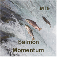Salmon Momentum