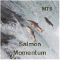 Salmon Momentum