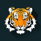 TigerSignals