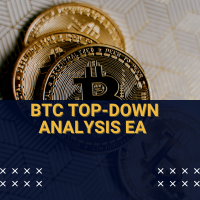 BTC Top Down Analysis EA MT5