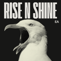 Rise N Shine