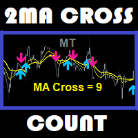 MT 2ma Cross Count