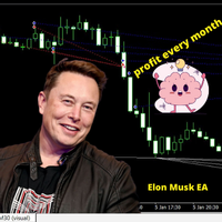 Elon Musk Brain EA